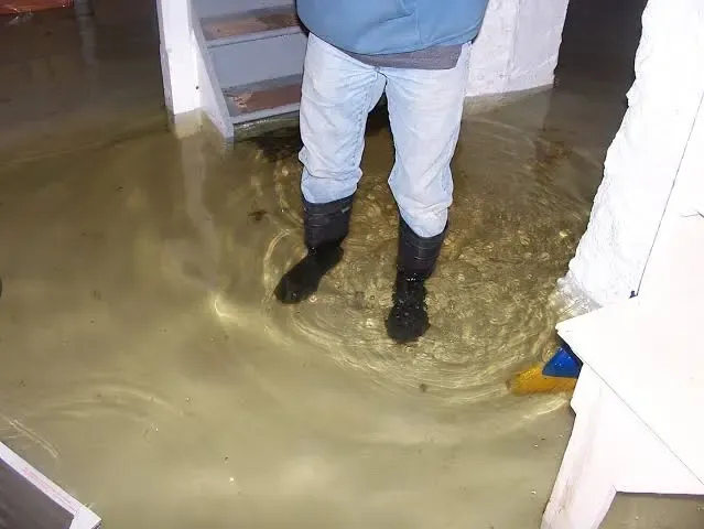 Sewage Backup Cleanup South Miami