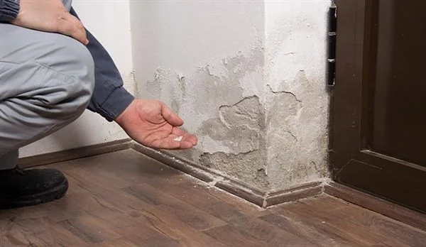 Wall Water Damage Restoration South Miami