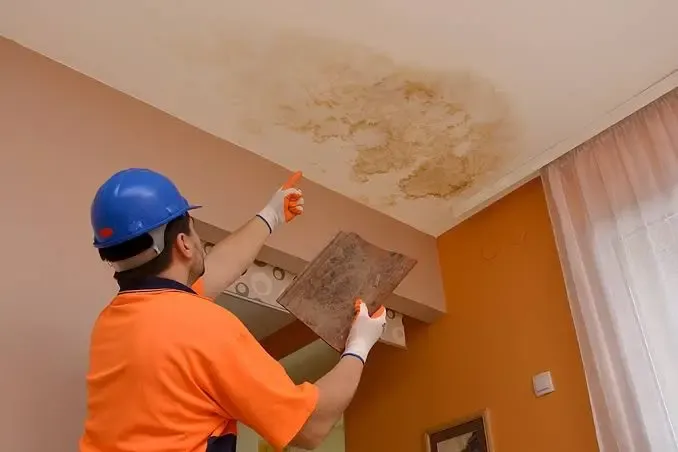 South Miami Water Damage Inspection Technician